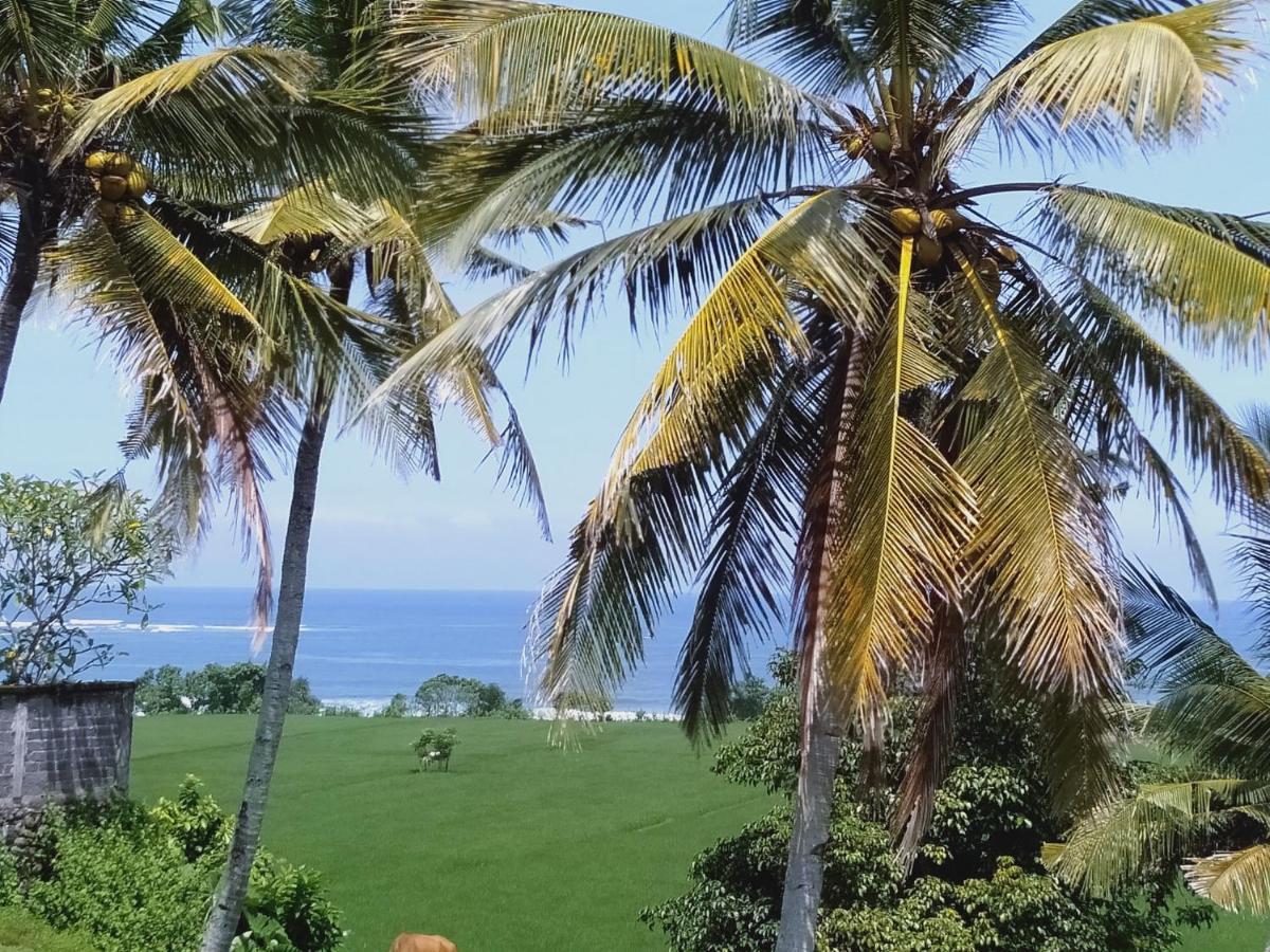 Medewi Beach View Villa Jembrana Dış mekan fotoğraf
